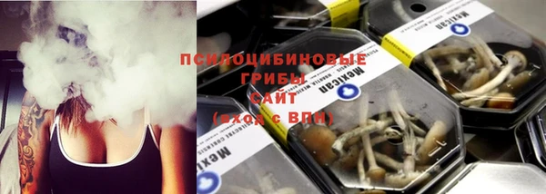 молекула духа Медвежьегорск