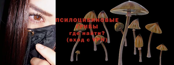 молекула духа Медвежьегорск