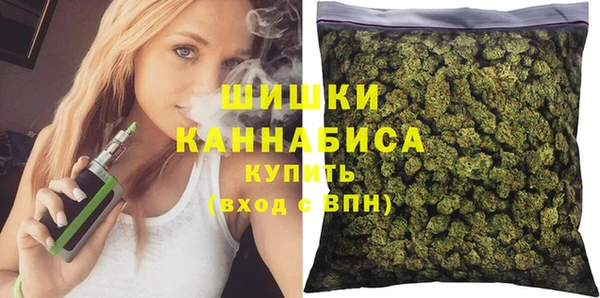 молекула духа Медвежьегорск