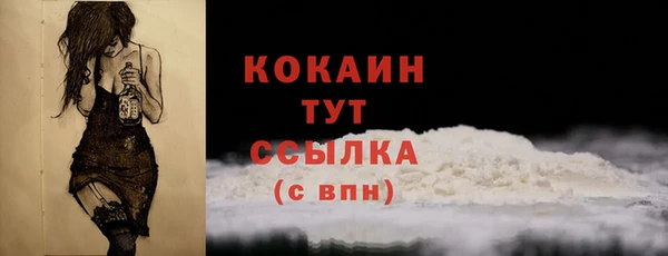 шишки Медногорск