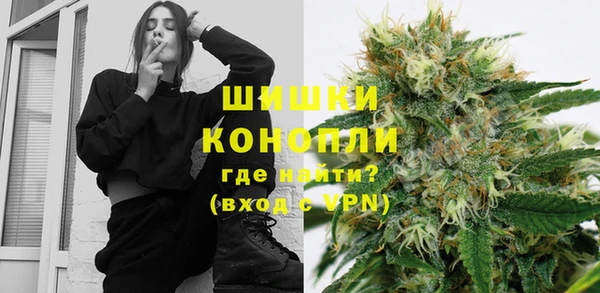 шишки Медногорск
