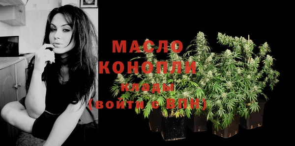 молекула духа Медвежьегорск
