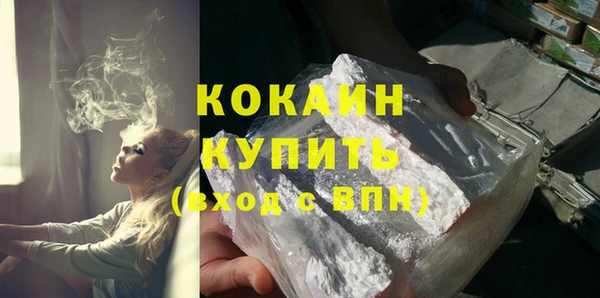 шишки Медногорск