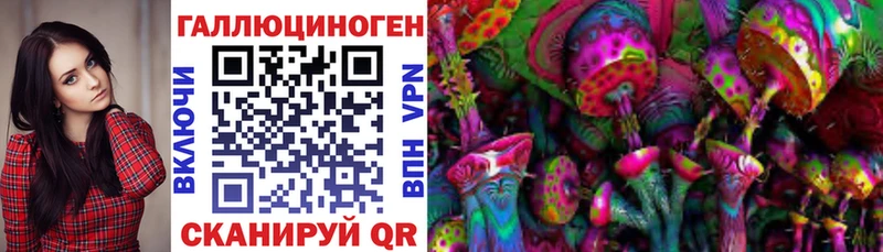 Галлюциногенные грибы Cubensis Нефтекумск
